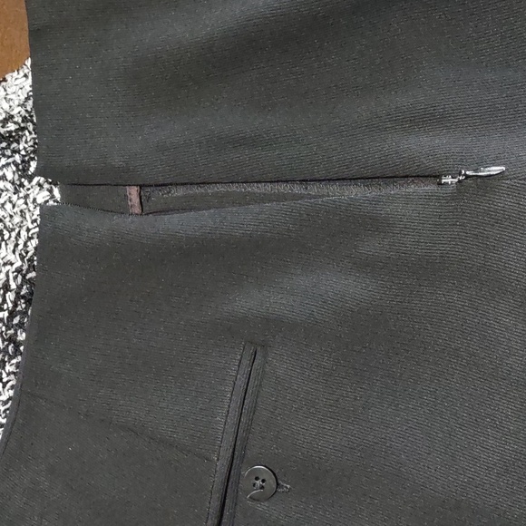 Iris Singer Collection Pleat Front Pants - Picture 10 of 14